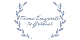 logo-5