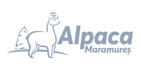 logo-6
